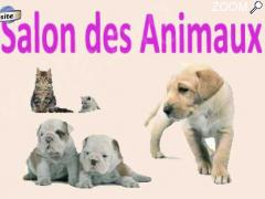 picture of Salon des Animaux