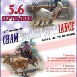 photo de WESTERN.CHAMIONNAT DE FRANCE DE TRI DE BETAIL AFET.