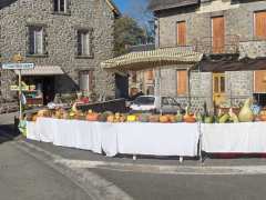 foto di FÊTE DE LA CITROUILLE , MARCHÉ DE PAYS , VIDE GRENIER