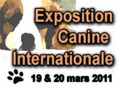 фотография de Exposition Canine Internationale