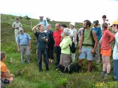 Foto Balade cueillette de plantes et cuisine sauvage 