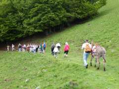 picture of 11ème Fête de la Randonnée