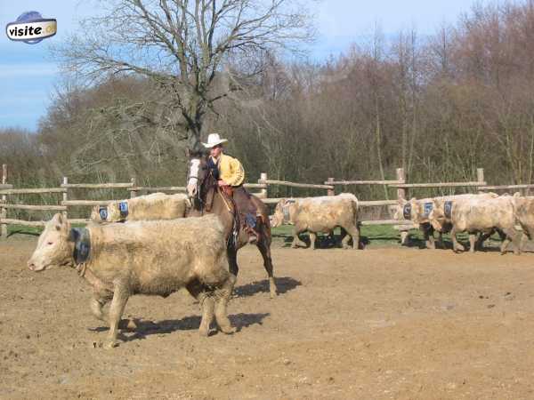 Fermer la fenêtre