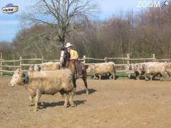 photo de 1er concours auvergne team penning