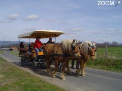 Foto La Ferme du Pré Fleuri