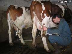 foto di ferme La clef des champs