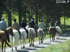 picture of Week-end "découverte" à cheval et balade en Auvergne