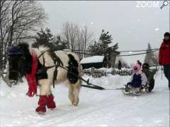 foto di Poney luge au Domaine Nordique du Guéry