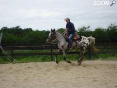 фотография de Equitation western et camping dans un Ranch