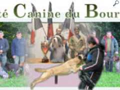 foto di Exposition Canine Internationale