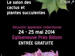 foto di Couleurs Cactus Club Clermont-Ferrand-Salon des cactus, succulentes et plantes adaptées à la sécheresse 7ème édition les 24 et 25 mai 2014