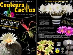 Foto Couleurs Cactus Club Salon des cactus, succulentes et plantes adaptées à la sécheresse les 2 et 3 juin 2018