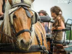 фотография de La Ferme du Pré Fleuri