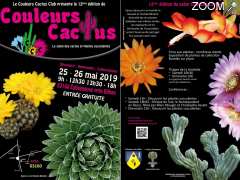 picture of Salon des cactus, succulentes et plantes adaptées à la sécheresse